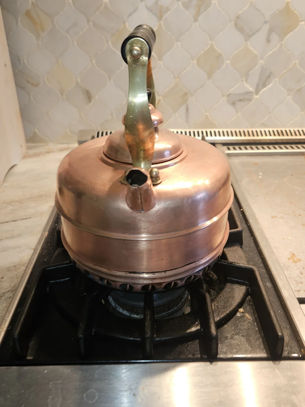 Williams Sonoma simplex copper